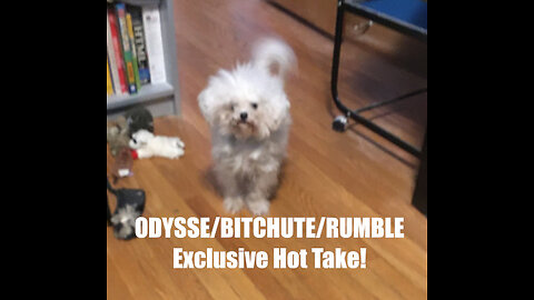 Rumble/Odysee/Bitchute Exclusive Hot Take: Nov 27th 2023 News Blast!