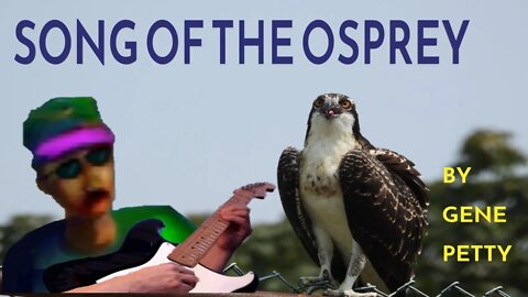 Song Of The Osprey By Gene Petty