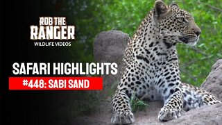Safari Highlights #448: 04 - 08 December 2016 | Sabi Sand Nature Reserve | Latest Wildlife Sightings