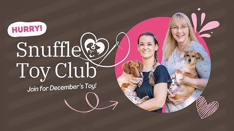 Snuffle Toy Club - December Sign Up