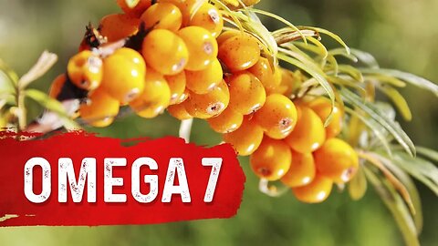 The Benefits of Omega-7 Fatty Acids - Dr. Berg on Essential Fatty Acids