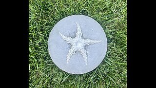 Starfish Cement Stepping Stone | Concrete Starfish decorative Stone Stepping Stone | HANDMADE | JLK