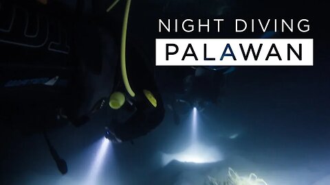 Night Dive in Palawan & Feeding Fish with Bacon - Philippines Vlog (Episode 8)