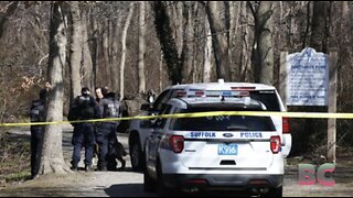 Four in custody as more body parts discovered scattered on Long Island