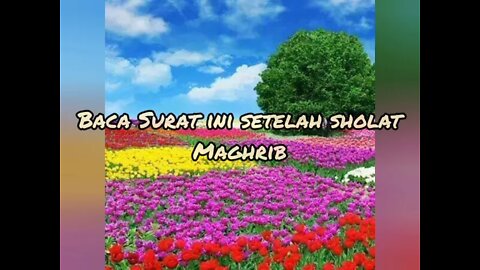 Yasin | Keutamaan Surah Yaasiin| Baca setelah sholat maghrib