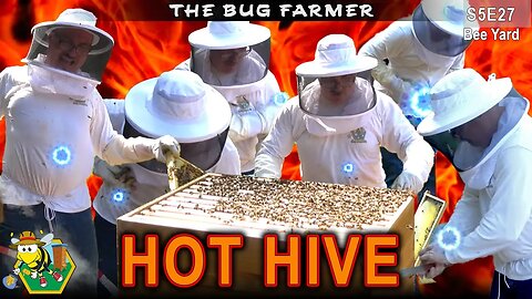 #5 is ALIVE | Inspecting HOT Bees in the Bee Castle Bee Yard. #beekeeping