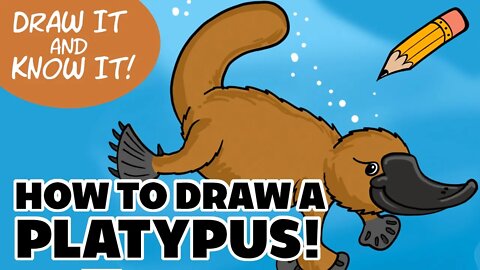 Draw it & Know it | How to Draw a Platypus | Reasons for Hope