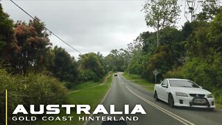 Mount Tamborine Drive - Gold Coast Hinterland || AUSTRALIA