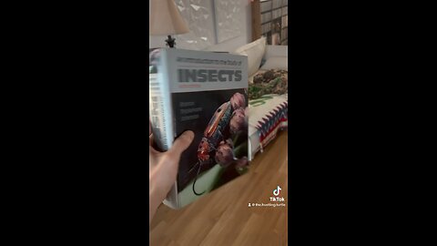 Insects book = Money