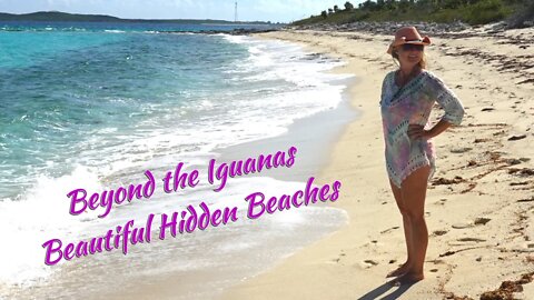 SDA22 Beyond the Iguanas, Beautiful Hidden Beaches