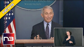 Fauci’s STUNNING Answer Why Illegal Immigrants Are Not Getting Tested