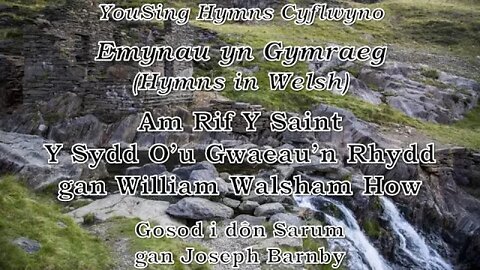 Am Rif Y Saint Y Sydd O'u Gwaeau'n Rhydd (Sarum)