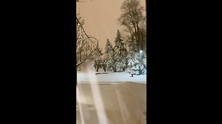 SNOW STORM IN TORONTO