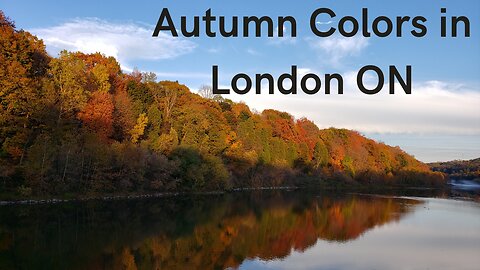 Enjoy Nature with Autumn Colors in London ON