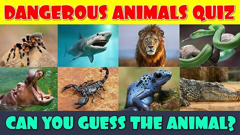 Guess the 63 Dangerous Animals