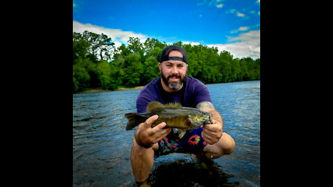 Smallmouth Bass on the Delaware River