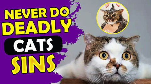 8 SINS YOU SHOULD NEVER DO TO YOUR CAT ( THAT YOU'RE ALREADY DOING )