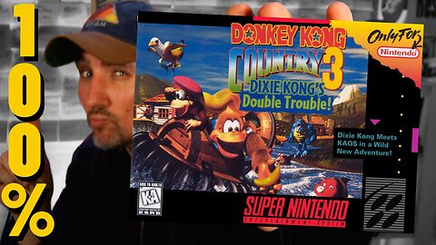 Have You Played DKC3? It's The BEST