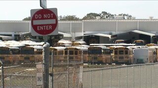 Hillsborough County School District hosting job fair Saturday to hire more than 100 school bus drivers