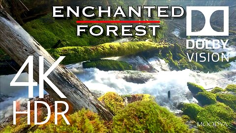 Dolby Vision HDR Nature Video - "Enchanted Forest DreamScape" - Clarity of Mind -