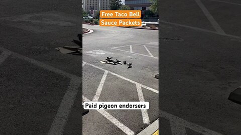 Taco Bell Sauce Spoof. No pigeons were harmed in the filming of this #Parody.