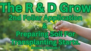 The R&D Grow S1 Ep 7 2nd Foliar Application & Preparing Soil For Transplanting Starts.