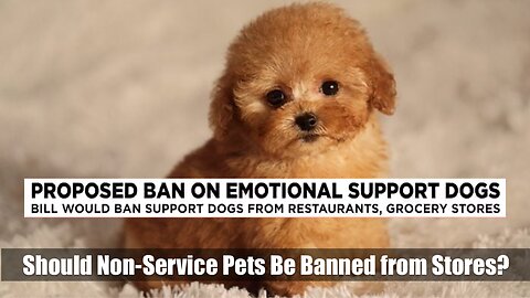 Should Non-Service Pets Be Banned from Stores and Restaurants?