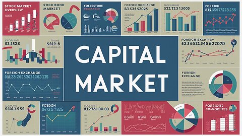 Capital Markets: An Overview