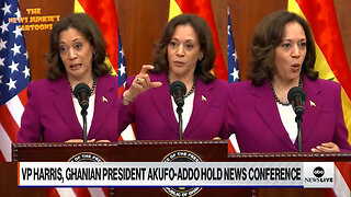 VP Kamala is on fire with her word salad in Africa: "Think about what that means in terms of potential... in terms of the, the..."