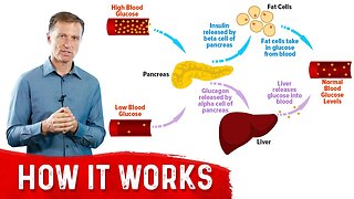 Insulin's Partner Glucagon