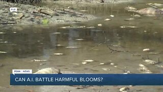 Can AI battle harmful algal blooms?