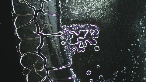 🔬☣ Microscopic Structures Are Becoming More Complex - Light Into Darkness