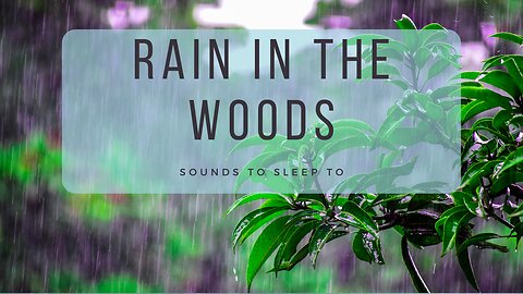 RAIN IN THE WOODS - SOUNDS FOR SLEEP AND STUDY