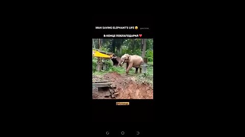 MAN SAVES ELEPHANT'S LIFE😄