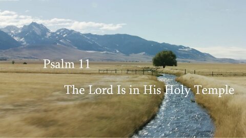 The Lord Is in His Holy Temple - Psalm 11