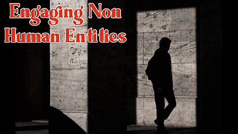 Engaging Non-Human Entities