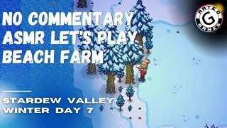 Stardew Valley No Commentary - Family Friendly Lets Play on Nintendo Switch - Winter Day 7