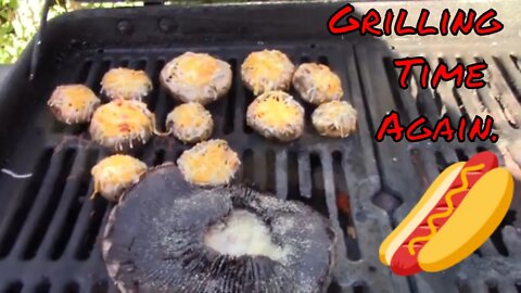 What's cooking with the Bear? Grilled stuffed portabella mushrooms