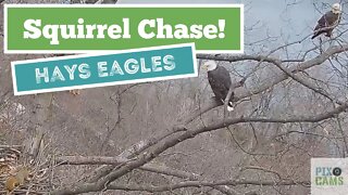 Hays Eagles Squirrel Chase 2021 12 22 907AM