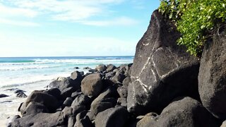 Coolangatta Beach | Gold Coast