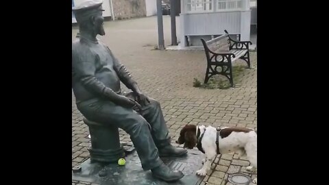Cachorro esperando estatua jogar a bolinha