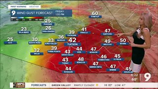 Strong winds to bring high fire danger