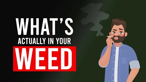 How Much THC & CBD is in Your Cannabis?