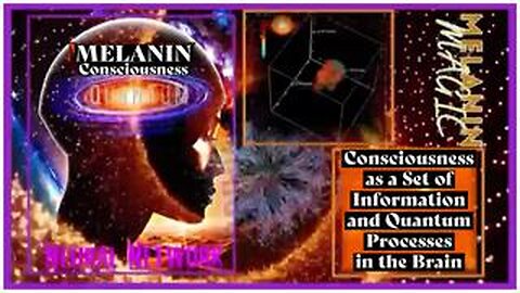 MELANIN -Consciousness as a Set of Information and Quantum Processes in the Brain