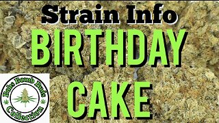 Birthday Cake Cannabis Strain From BC Bud Supply Plus Discount Code