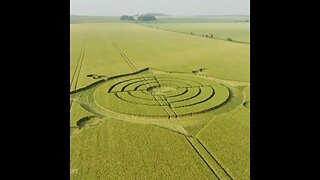 New Crop Circle! Roundway Down near Devizes in Wiltshire UK June 11, 2023 DISCLOSURE