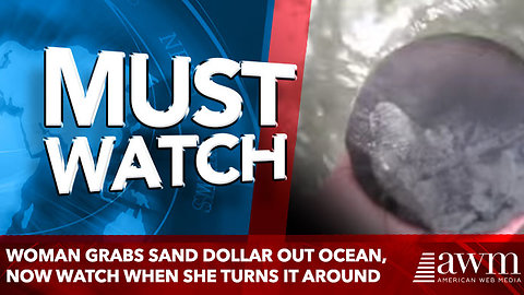 Woman Grabs Sand Dollar Out Ocean, Now Watch When She Turns It Around