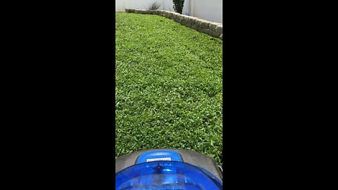 Mowing my overgrown backyard part 2