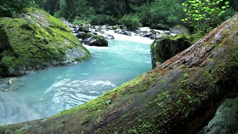 ASMR Relaxing Nature sounds - Birds, river and water sounds for sleep fast and meditation yoga