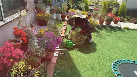 Organizing my garden